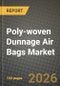 Poly-woven Dunnage Air Bags Market Outlook 2026-2034: Market Share, and Growth Analysis by Type, Application - Product Thumbnail Image
