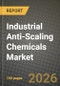 Industrial Anti-Scaling Chemicals Market Outlook 2026-2034: Market Share, and Growth Analysis - Product Thumbnail Image