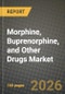 Morphine, Buprenorphine, and Other Drugs Market Outlook 2026-2034: Market Share, and Growth Analysis - Product Image