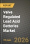 Valve Regulated Lead Acid Batteries Market Outlook 2026-2034: Market Share, and Growth Analysis - Product Thumbnail Image