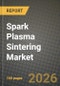 Spark Plasma Sintering Market Outlook 2026-2034: Market Share, and Growth Analysis by Component, Press Capacity, Material Processed, End-Use Industry - Product Thumbnail Image