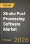 Stroke Post Processing Software Market Outlook 2026-2034: Market Share, and Growth Analysis by Imaging Modality, Deployment Model, End-User - Product Image