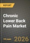 Chronic Lower Back Pain Market Outlook 2026-2034: Market Share, and Growth Analysis by Pain Type, Diagnosis, Therapy Modality, End User - Product Image