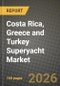 Costa Rica, Greece and Turkey Superyacht Market Outlook 2026-2034: Market Share, and Growth Analysis - Product Thumbnail Image
