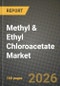 Methyl & Ethyl Chloroacetate Market Outlook 2026-2034: Market Share, and Growth Analysis - Product Thumbnail Image