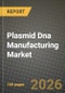 Plasmid Dna Manufacturing Market Outlook 2026-2034: Market Share, and Growth Analysis - Product Thumbnail Image