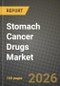 Stomach Cancer Drugs Market Outlook 2026-2034: Market Share, and Growth Analysis - Product Image