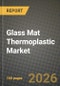 Glass Mat Thermoplastic Market Outlook 2026-2034: Market Share, and Growth Analysis - Product Thumbnail Image