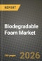 Biodegradable Foam Market Outlook 2026-2034: Market Share, and Growth Analysis - Product Thumbnail Image