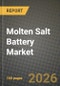Molten Salt Battery Market Outlook 2026-2034: Market Share, and Growth Analysis - Product Thumbnail Image