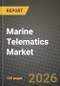 Marine Telematics Market Outlook 2026-2034: Market Share, and Growth Analysis - Product Thumbnail Image