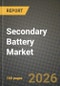 Secondary Battery Market Outlook 2026-2034: Market Share, and Growth Analysis - Product Thumbnail Image