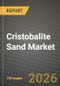 Cristobalite Sand Market Outlook 2026-2034: Market Share, and Growth Analysis - Product Thumbnail Image