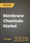 Membrane Chemicals Market Outlook 2026-2034: Market Share, and Growth Analysis - Product Thumbnail Image