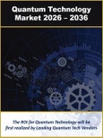 Quantum Technology Market by Computing, Communications, Imaging, Security, Sensing, Modeling and Simulation 2026-2036- Product Image
