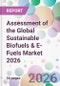 Assessment of the Global Sustainable Biofuels & E-Fuels Market 2026 - Product Thumbnail Image