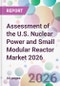 Assessment of the U.S. Nuclear Power and Small Modular Reactor Market 2026 - Product Thumbnail Image