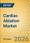 Cardiac Ablation Market Size, Share, Trends & Forecast Analysis - Global Forecast to 2036 - Product Thumbnail Image