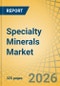 Specialty Minerals Market Size, Share & Trends Analysis - Global Opportunity Analysis & Industry Forecast (2026-2036) - Product Thumbnail Image