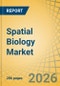 Spatial Biology Market Size, Share & Trends Analysis - Global Opportunity Analysis and Industry Forecast (2026-2036) - Product Image