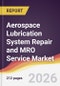 Aerospace Lubrication System Repair and MRO Service Market Report: Trends, Forecast and Competitive Analysis to 2035 - Product Thumbnail Image