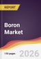 Boron Market Report: Trends, Forecast and Competitive Analysis to 2035 - Product Thumbnail Image