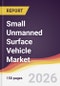 Small Unmanned Surface Vehicle Market Report: Trends, Forecast and Competitive Analysis to 2035 - Product Thumbnail Image