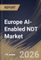 Europe AI-Enabled NDT Market Size, Share & Industry Analysis Report by Component, Deployment Mode, Testing Method, End Use Industry, Country and Growth Forecast, 2025-2032 - Product Image