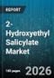2-Hydroxyethyl Salicylate Market - Global Forecast 2026-2032 - Product Image