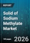 Solid of Sodium Methylate Market - Global Forecast 2026-2032 - Product Image