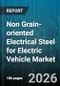 Non Grain-oriented Electrical Steel for Electric Vehicle Market - Global Forecast 2026-2032 - Product Image