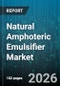 Natural Amphoteric Emulsifier Market - Global Forecast 2026-2032 - Product Thumbnail Image