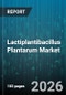 Lactiplantibacillus Plantarum Market - Global Forecast 2026-2032 - Product Thumbnail Image
