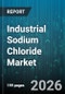 Industrial Sodium Chloride Market - Global Forecast 2026-2032 - Product Thumbnail Image