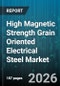 High Magnetic Strength Grain Oriented Electrical Steel Market - Global Forecast 2026-2032 - Product Image
