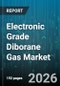 Electronic Grade Diborane Gas Market - Global Forecast 2026-2032 - Product Image