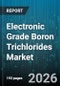 Electronic Grade Boron Trichlorides Market - Global Forecast 2026-2032 - Product Thumbnail Image