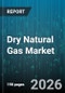 Dry Natural Gas Market - Global Forecast 2026-2032 - Product Thumbnail Image
