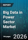 Big Data in Power Sector Market - Global Forecast 2026-2032- Product Image