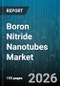Boron Nitride Nanotubes Market - Global Forecast 2026-2032 - Product Thumbnail Image