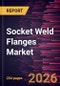 Socket Weld Flanges Market Size and Forecast (2021 - 2034), Global and Regional Share, Trend, and Growth Opportunity Analysis - Product Thumbnail Image