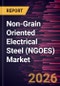 Non-Grain Oriented Electrical Steel (NGOES) Market Size and Forecast (2021 - 2033), Global and Regional Share, Trend, and Growth Opportunity Analysis - Product Thumbnail Image