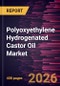 Polyoxyethylene Hydrogenated Castor Oil Market Size and Forecast (2021 - 2034), Global and Regional Share, Trend, and Growth Opportunity Analysis - Product Thumbnail Image