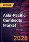 Asia-Pacific Gumboots Market Size and Forecast (2021 - 2031) Regional Share - Product Image