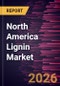 North America Lignin Market Size and Forecast (2021 - 2031) - Product Image