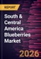 South & Central America Blueberries Market Size and Forecast (2021 - 2031), Regional Share, Trend, and Growth Opportunity Analysis - Product Image