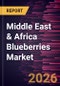 Middle East & Africa Blueberries Market Size and Forecast (2021 - 2031), Regional Share, Trend, and Growth Opportunity Analysis - Product Image