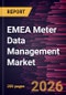 EMEA Meter Data Management Market Size and Forecast (2021 - 2034), Regional Share, Trend, and Growth Opportunity Analysis - Product Image