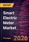 Smart Electric Meter Market Size and Forecast (2021 - 2034), Global and Regional Share, Trend, and Growth Opportunity Analysis - Product Thumbnail Image