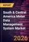 South & Central America Meter Data Management System Market Size and Forecast (2021 - 2031) - Product Image